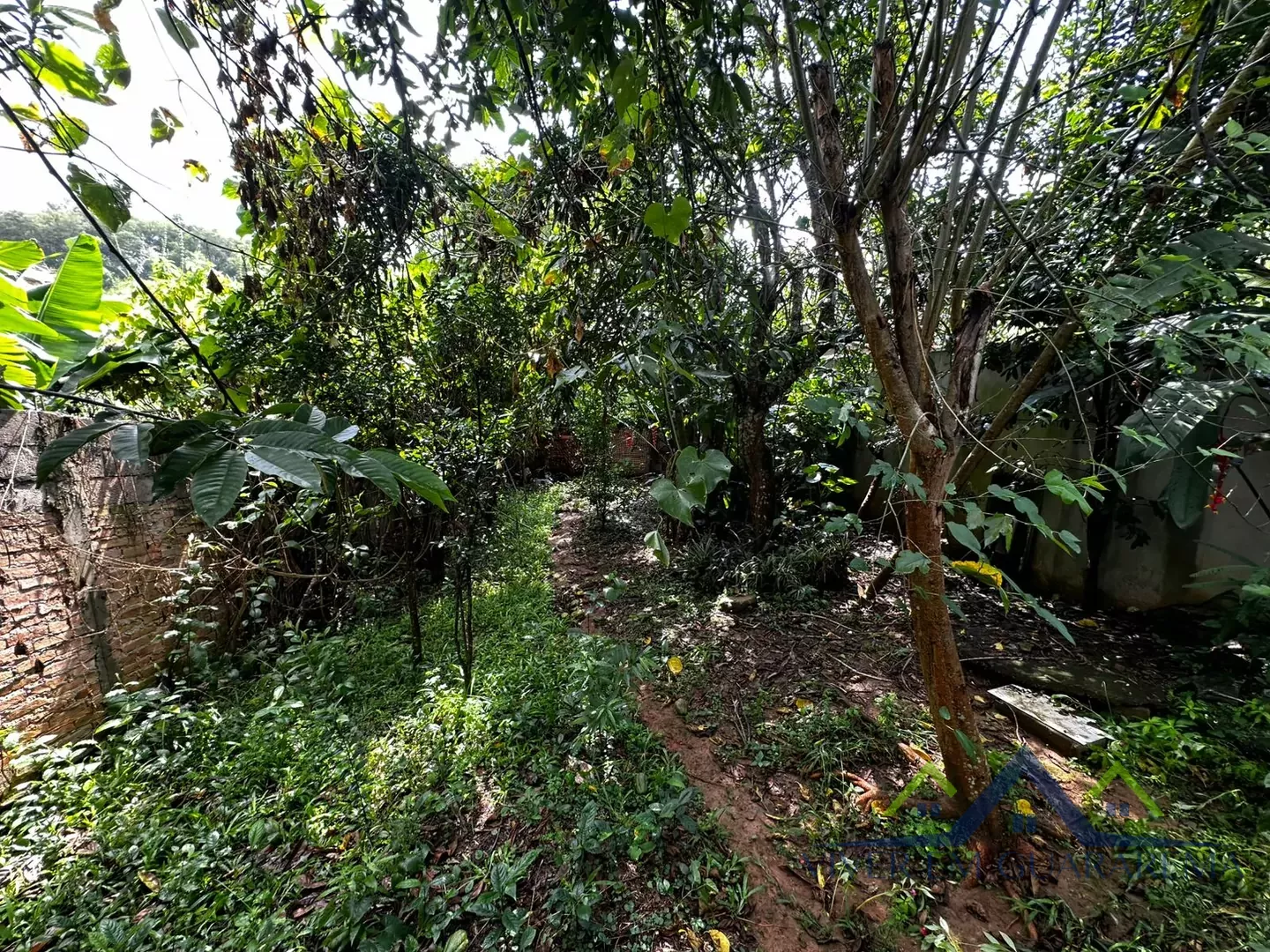 CASA NO BAIRRO IPIRANGA À VENDA — Miniatura 13