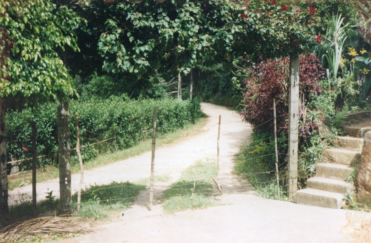 CHÁCARA NO BAIRRO ITAPETI — Miniatura 2