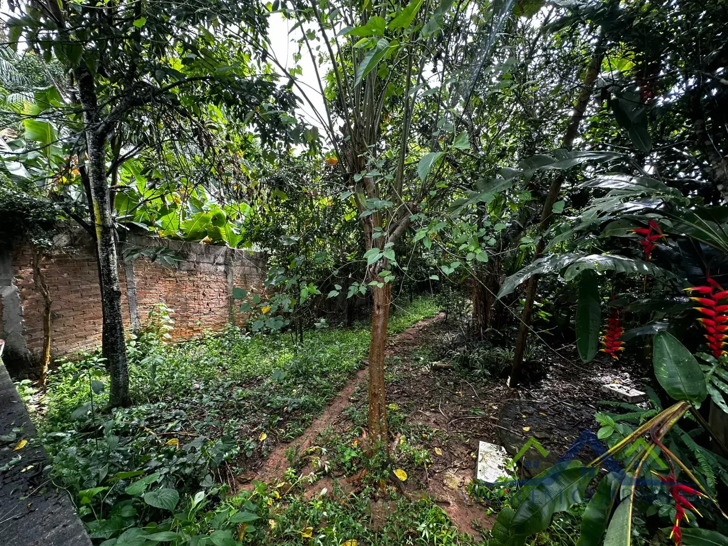 CASA NO BAIRRO IPIRANGA À VENDA — Miniatura 14