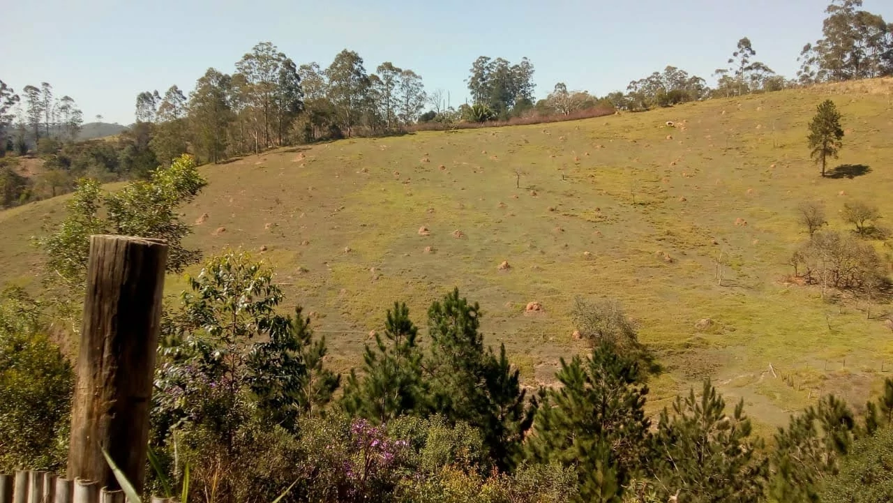 SÍTIO EM IGARATÁ — Miniatura 19