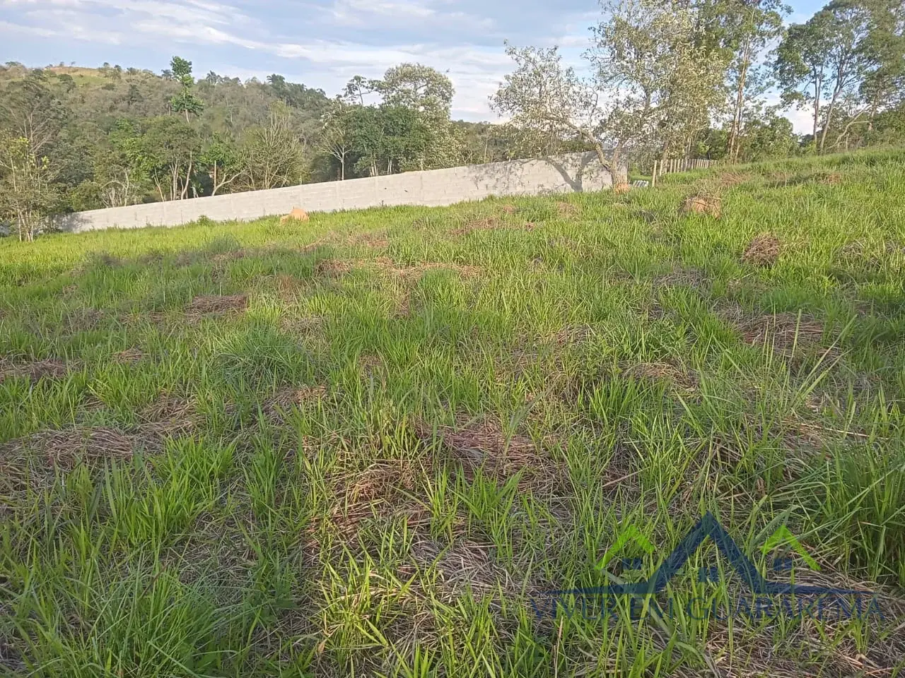 TERRENO NA FREGUESIA DA ESCADA — Miniatura 6