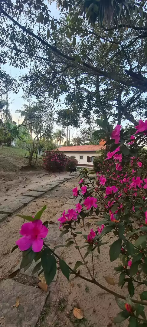 CHÁCARA À VENDA NO GUANABARA — Miniatura 30