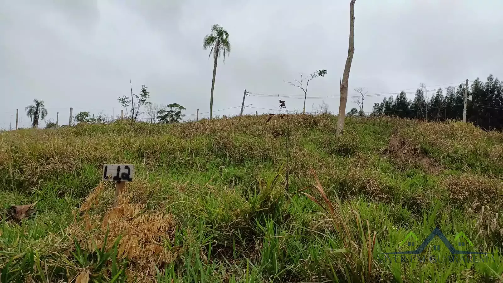 ÓTIMO TERRENO NO BAIRRO JARDIM LUIZA — Miniatura 2