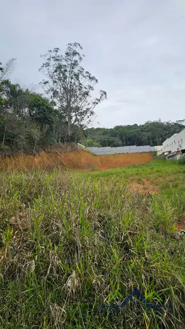 TERRENOS À VENDA NO BAIRRO ITAPEMA — Miniatura 3