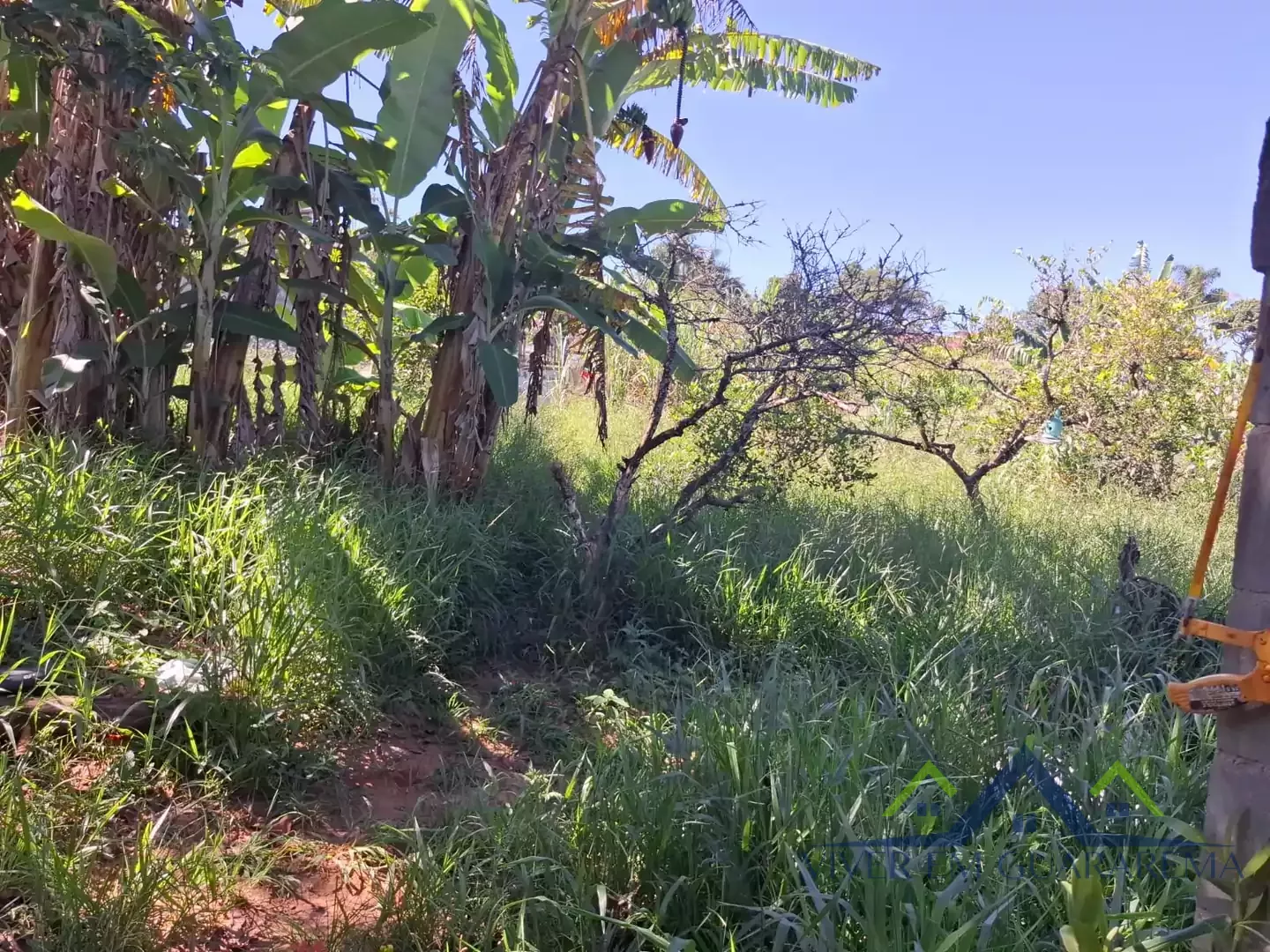 2 LOTES À VENDA NO CAPOEIRINHA — Miniatura 4