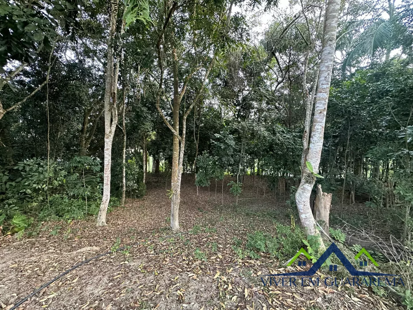 DESLUMBRANTE TERRENO À BEIRA DO RIO DISPONÍVEL PARA COMPRA. SEU REFÚGIO PERFEITO AGUARDA POR VOCÊ! — Miniatura 3