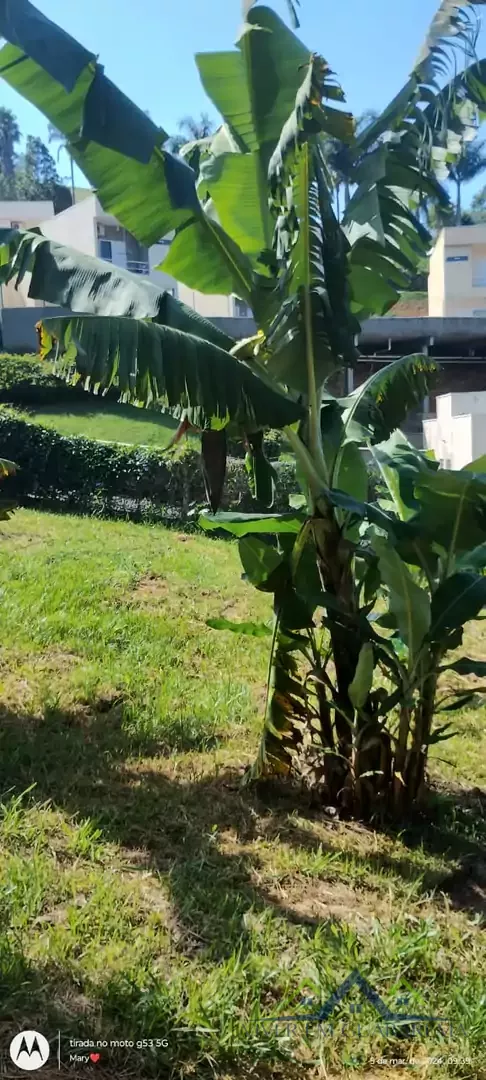 CASA COM CABANA DE MADEIRA NO ITAÓCA — Miniatura 6