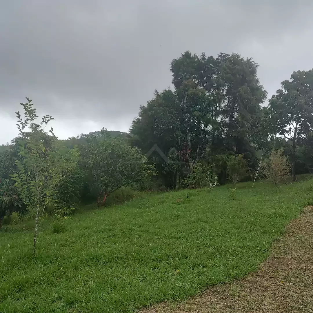 CHÁCARA À VENDA NO BAIRRO DA LAGOA NOVA — Miniatura 10