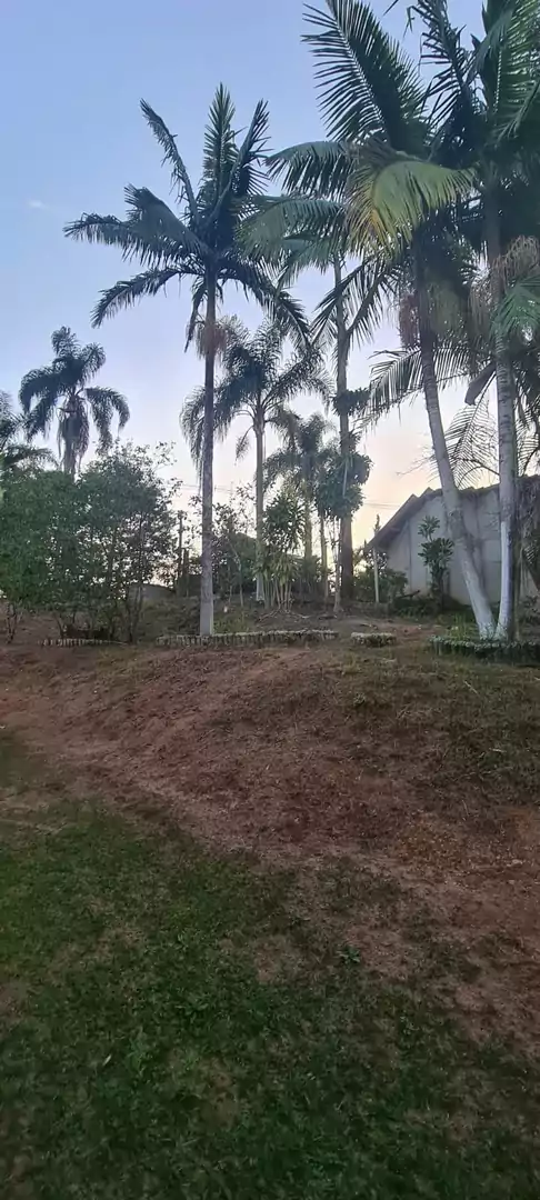 CHÁCARA À VENDA NO GUANABARA — Miniatura 23