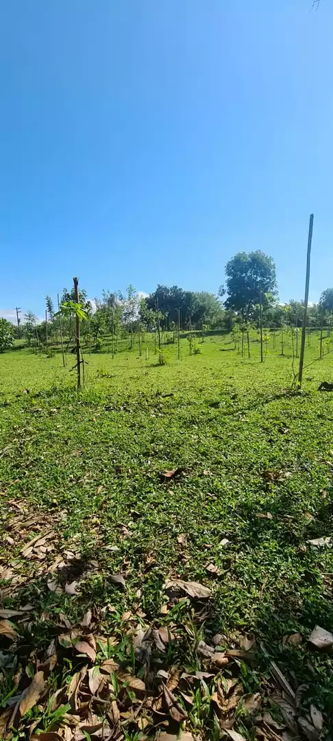 LOTES DISPONÍVEIS PARA VENDA NO CONDOMÍNIO RESIDENCIAL DA ILHA EM GUARAREMA — Miniatura 7