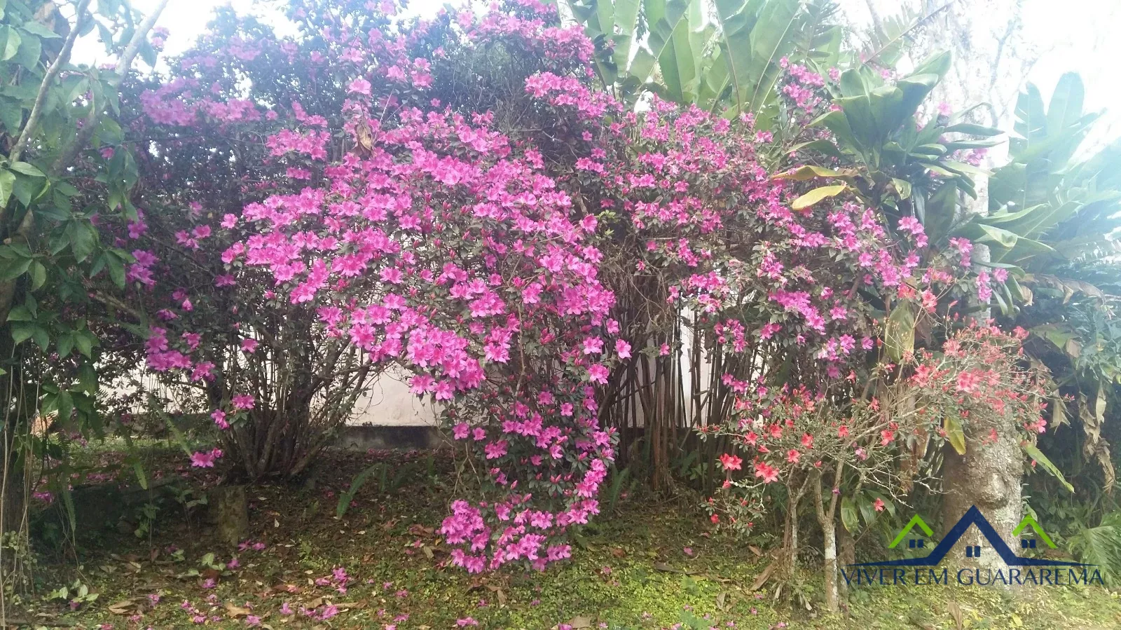 CHÁCARA COM BELEZAS NATURAIS — Miniatura 14