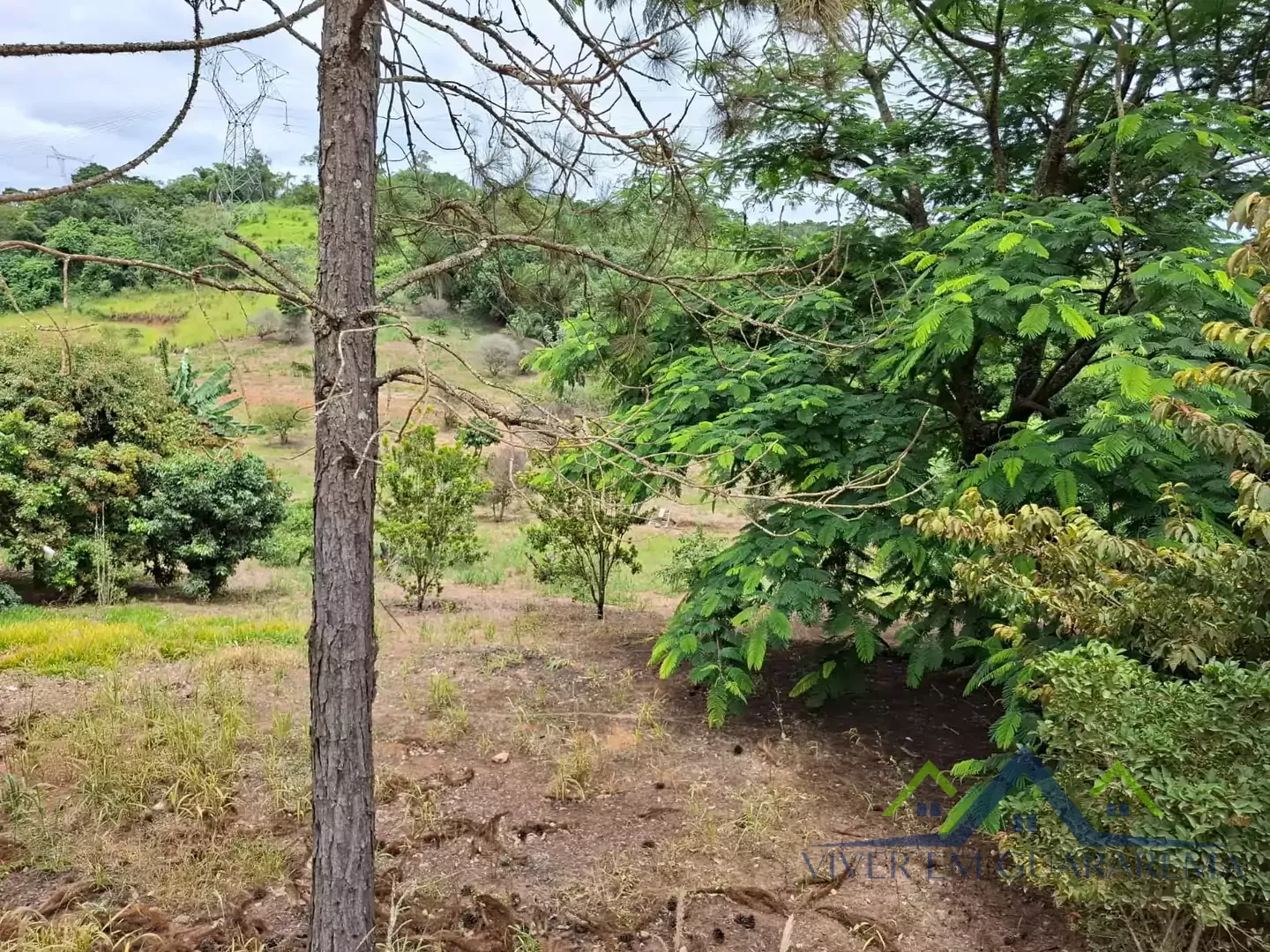 SÍTIO À VENDA NO CAPOEIRINHA — Miniatura 6