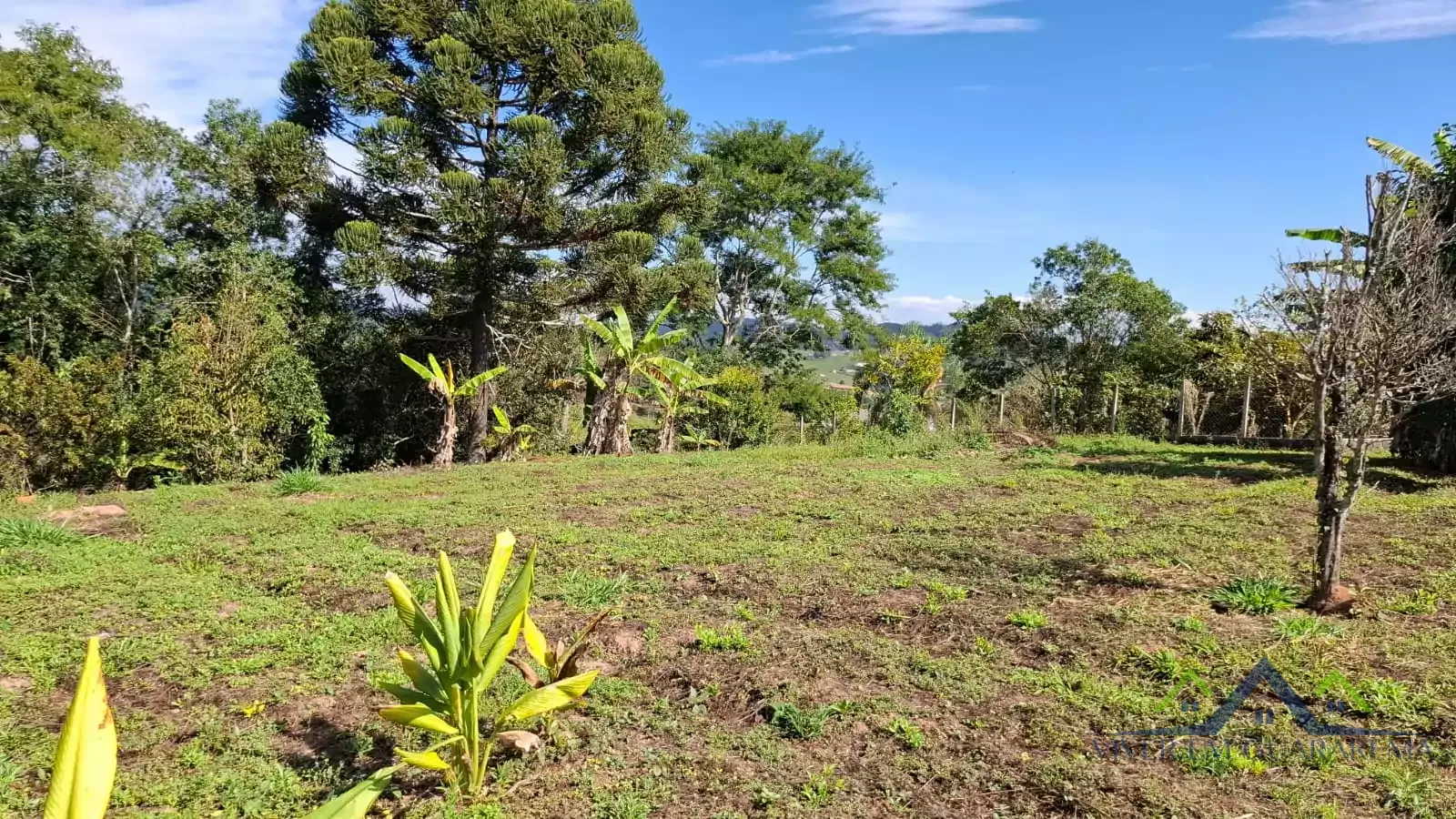 CHÁCARA À VENDA NO MARACATU — Miniatura 18