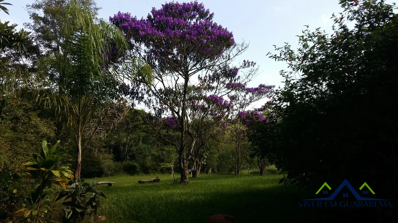 CHÁCARA COM BELEZAS NATURAIS — Miniatura 18