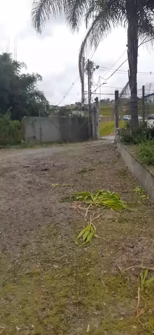 GALPÃO EM ÁREA INDUSTRIAL FRENTE PARA DUTRA — Miniatura 3