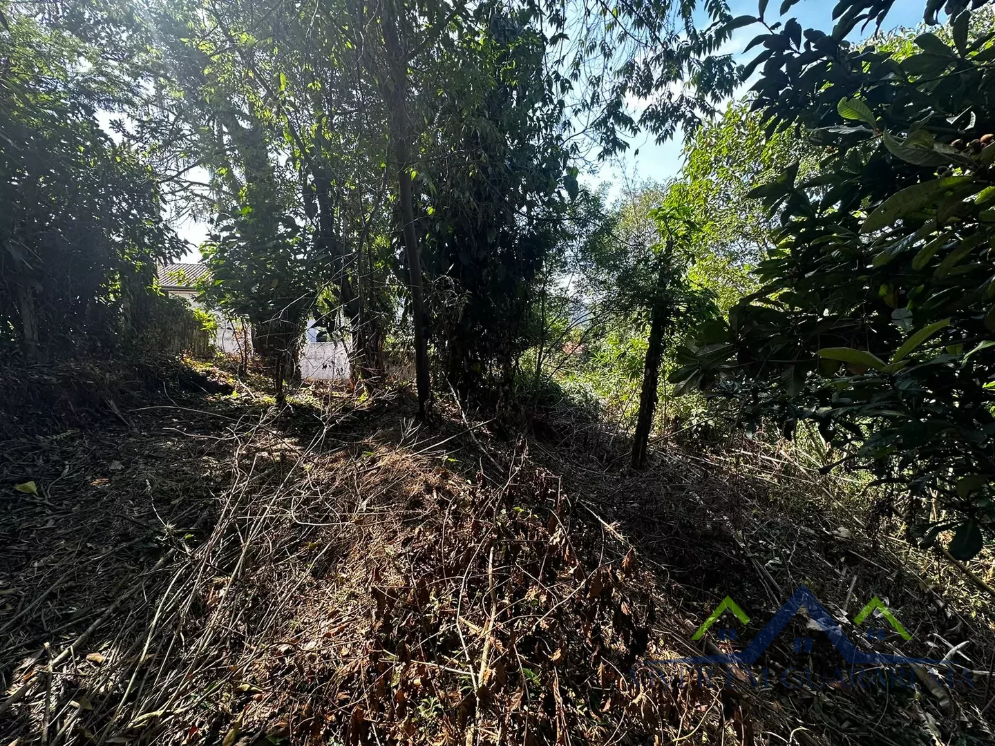 TERRENO NA FREGUESIA DA ESCADA — Miniatura 2