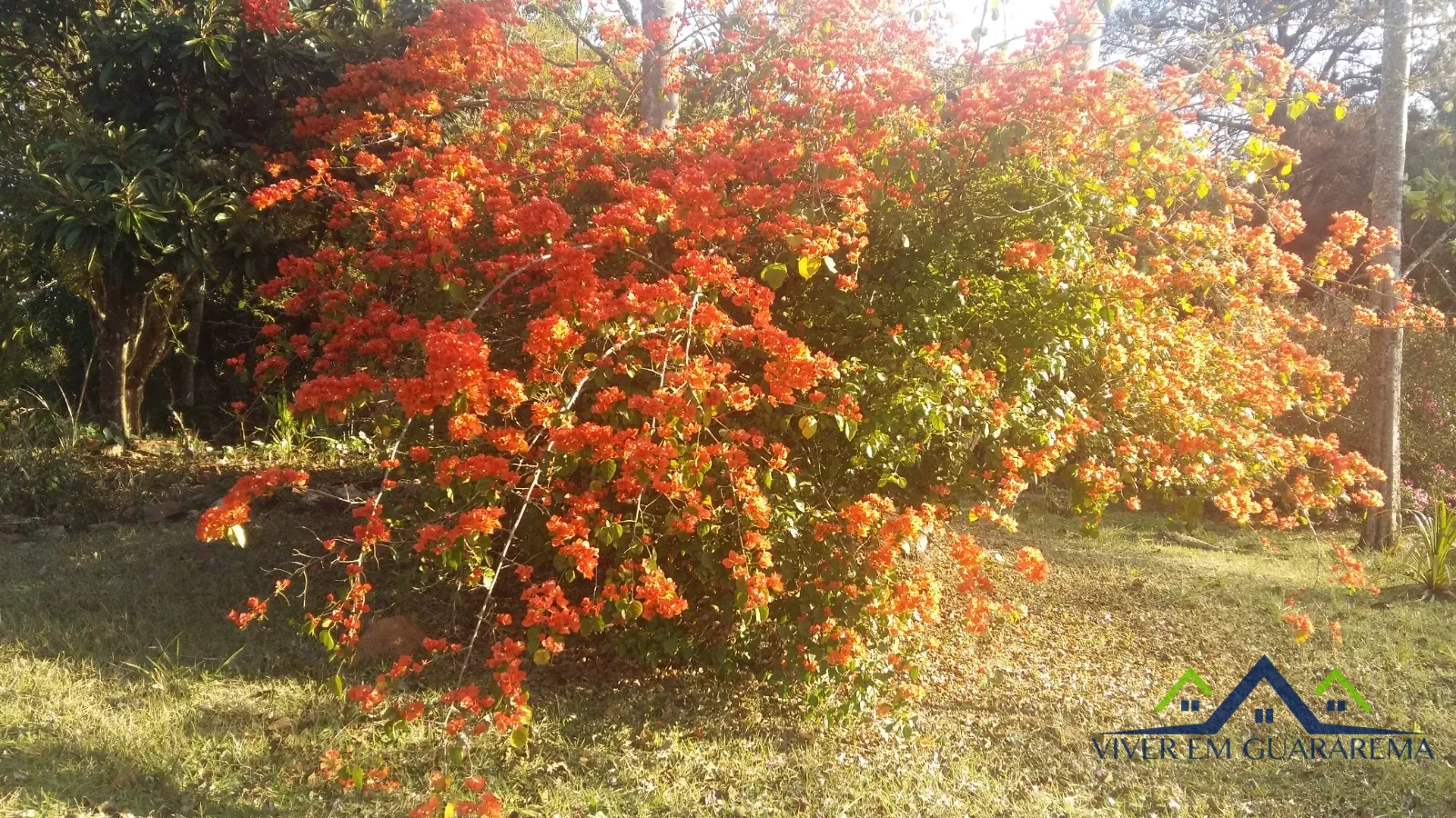 CHÁCARA COM BELEZAS NATURAIS — Miniatura 17