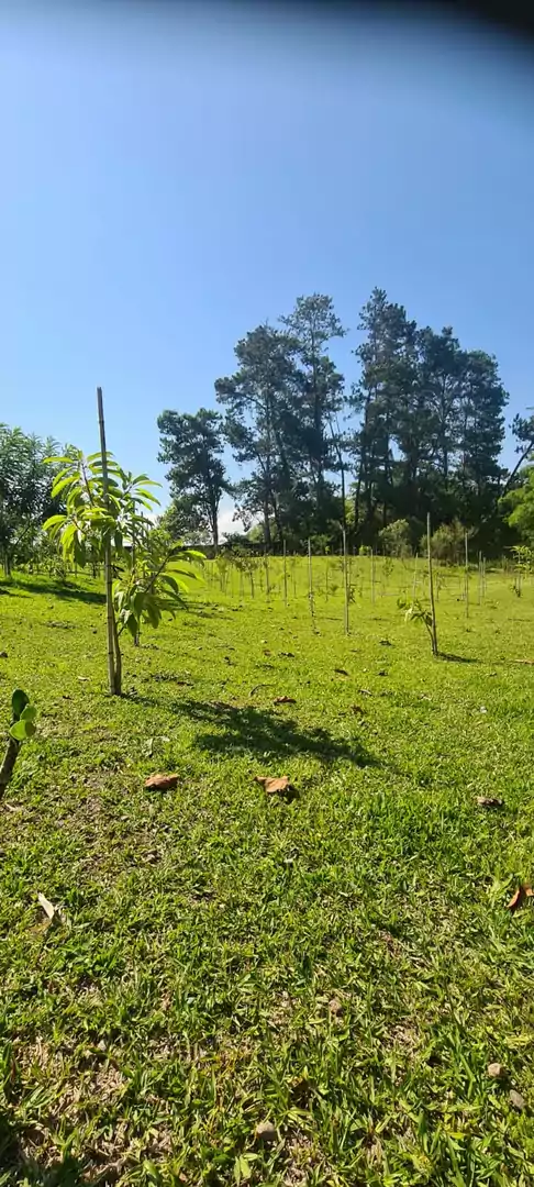 LOTES DISPONÍVEIS PARA VENDA NO CONDOMÍNIO RESIDENCIAL DA ILHA EM GUARAREMA — Miniatura 8