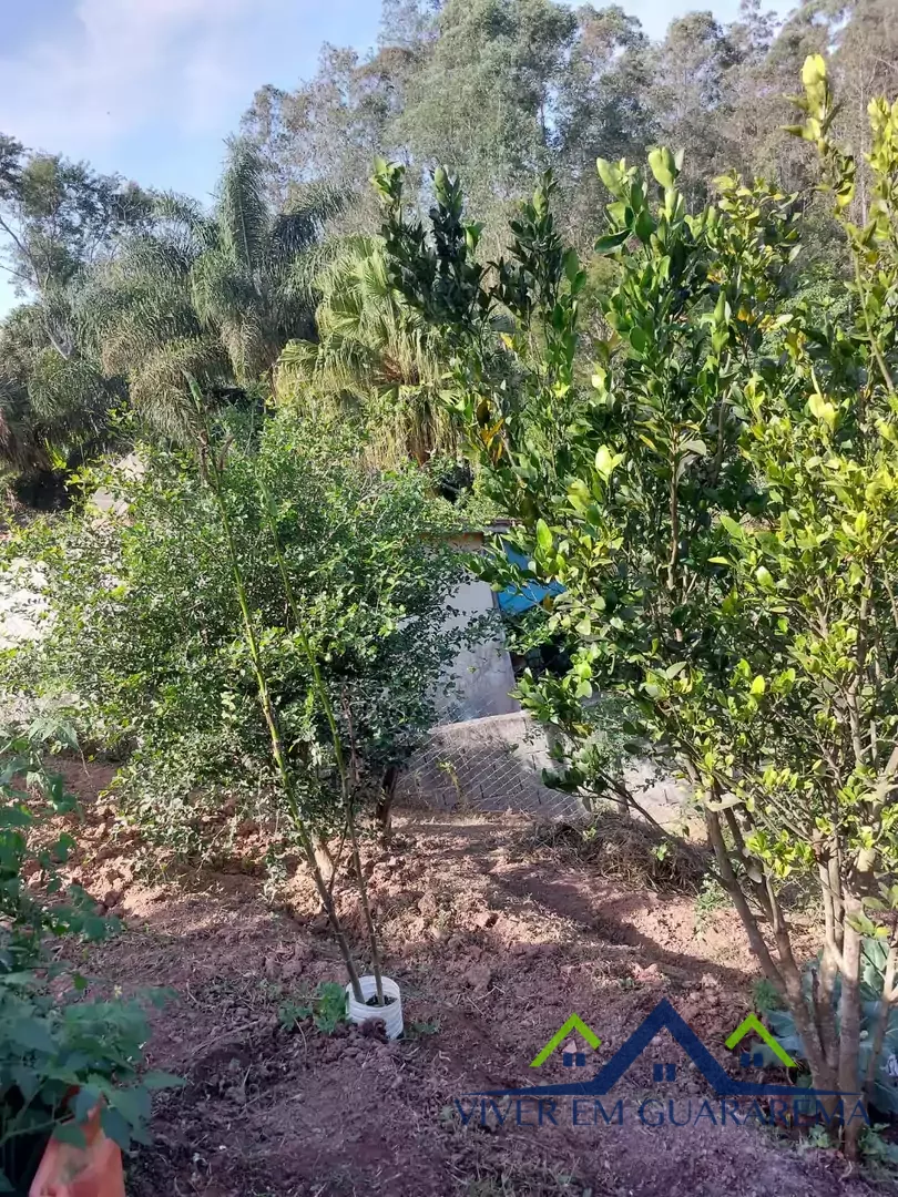 TERRENO COM PEQUENA CASA SEMI-PRONTA — Miniatura 3