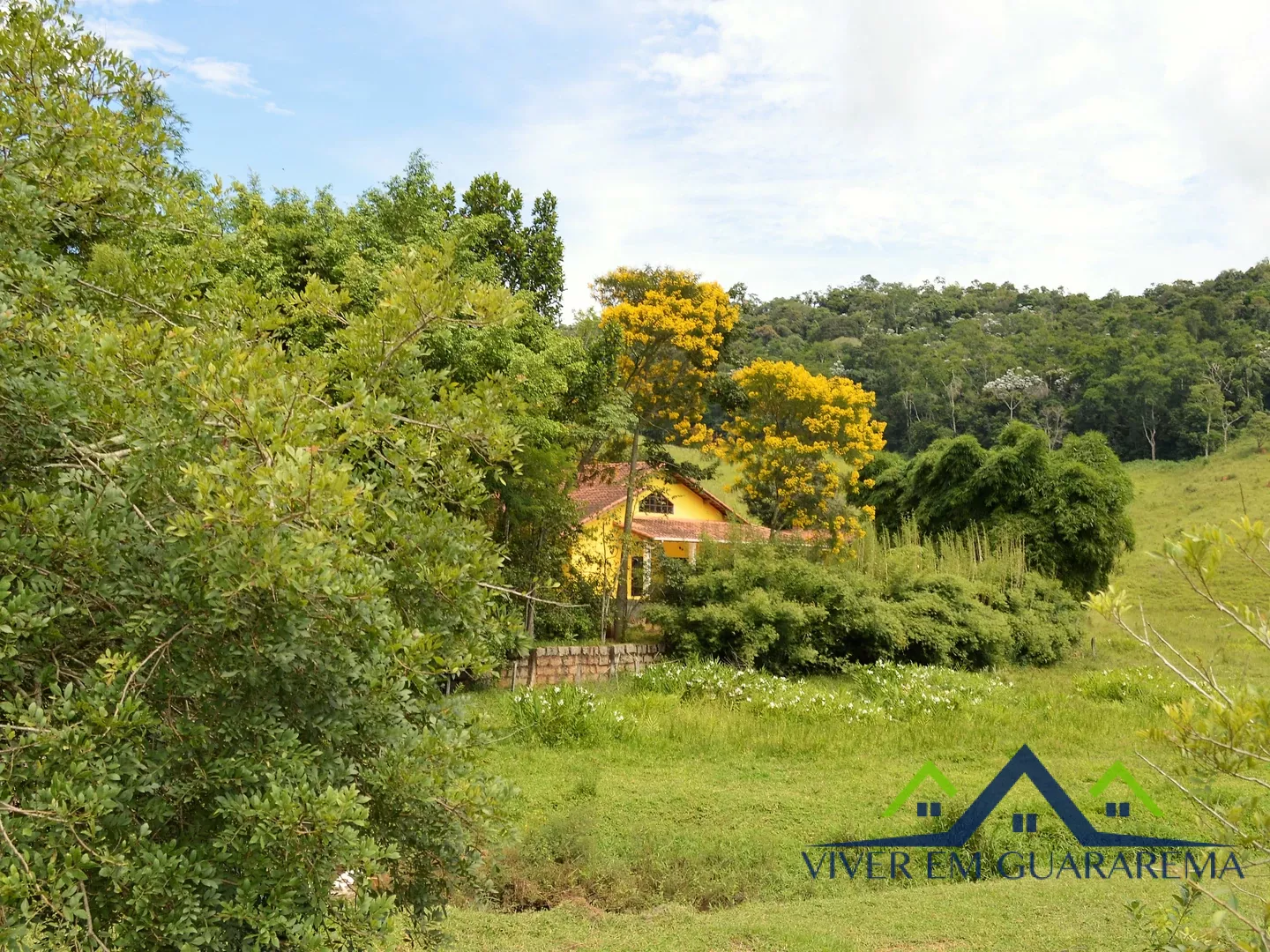 EXCELENTE PROPRIEDADE COM 8 ALQUEIRES — Miniatura 3