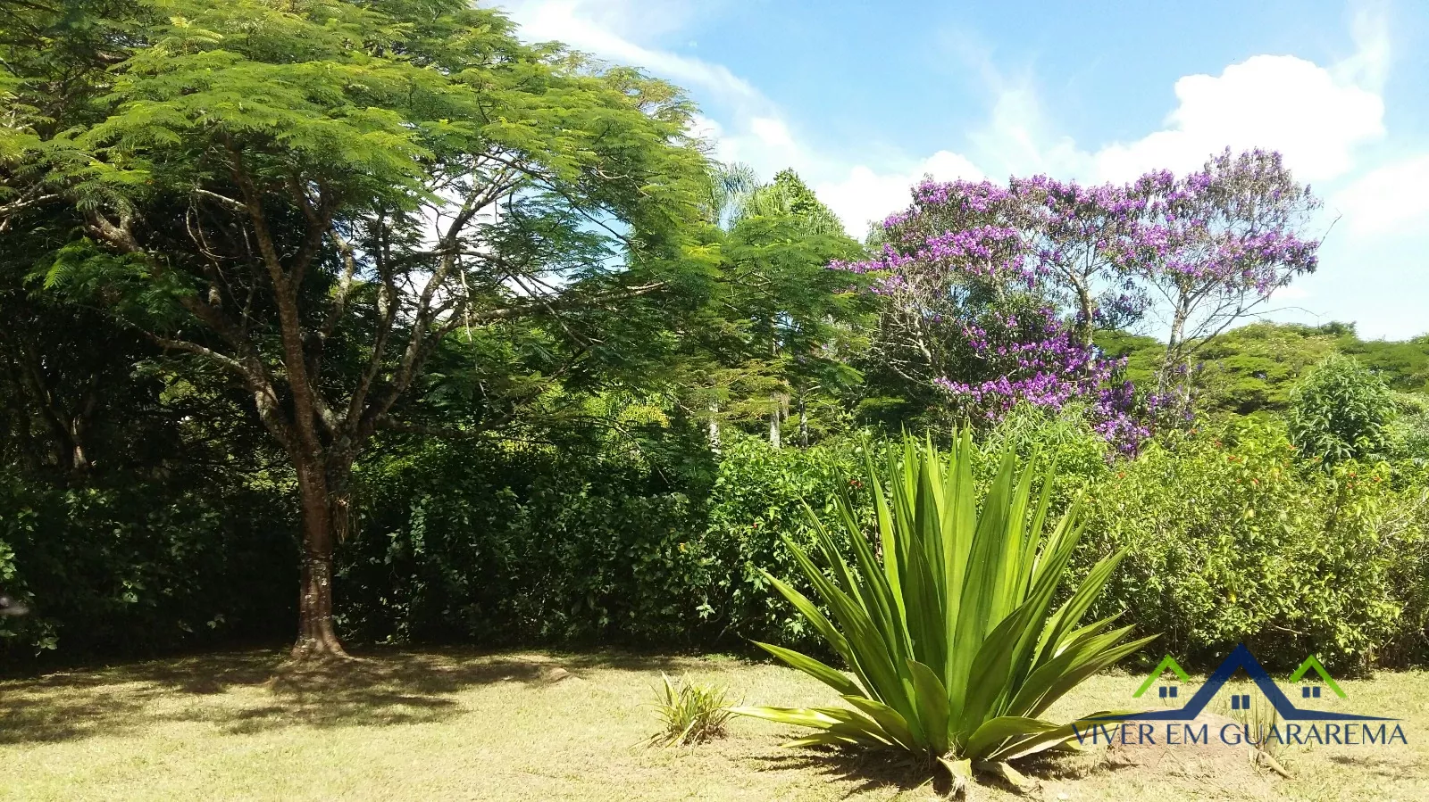 CHÁCARA COM BELEZAS NATURAIS — Miniatura 12