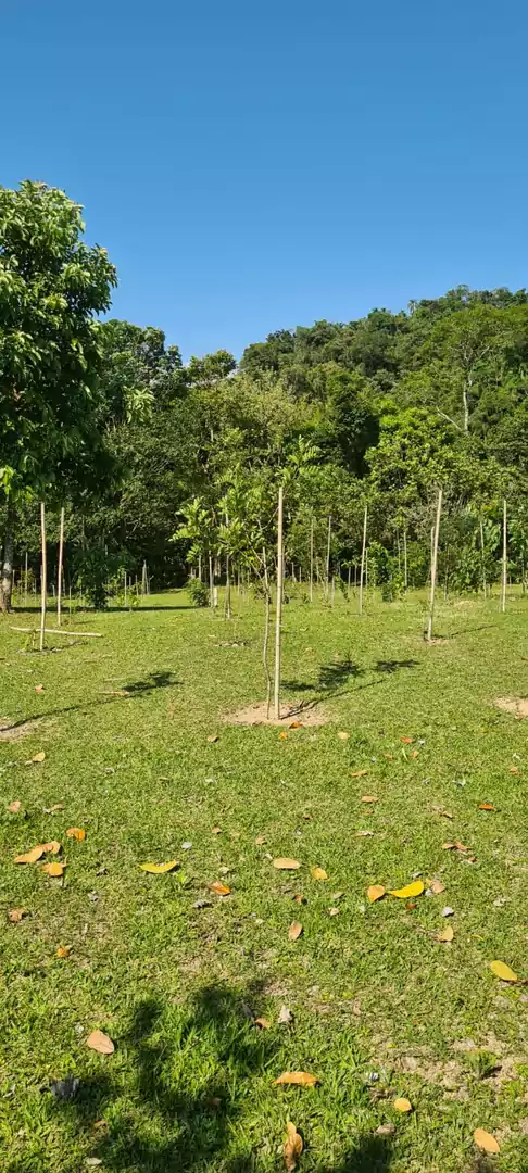 LOTES DISPONÍVEIS PARA VENDA NO CONDOMÍNIO RESIDENCIAL DA ILHA EM GUARAREMA — Miniatura 4
