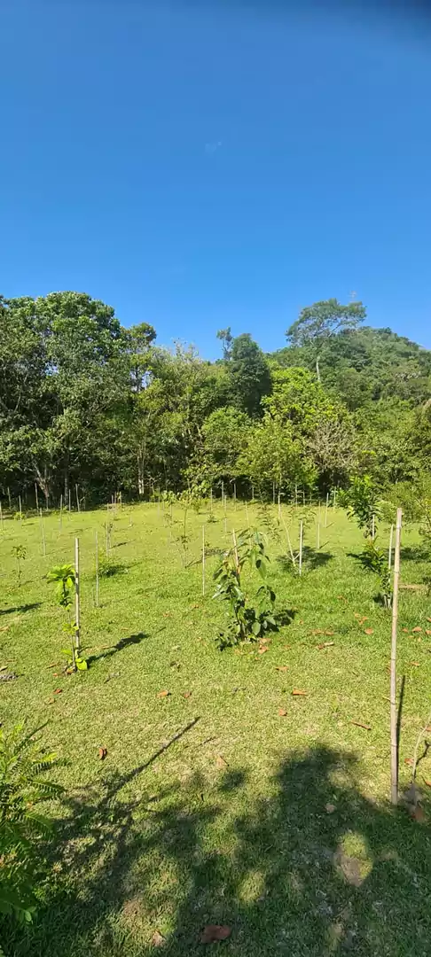 LOTES DISPONÍVEIS PARA VENDA NO CONDOMÍNIO RESIDENCIAL DA ILHA EM GUARAREMA — Miniatura 3