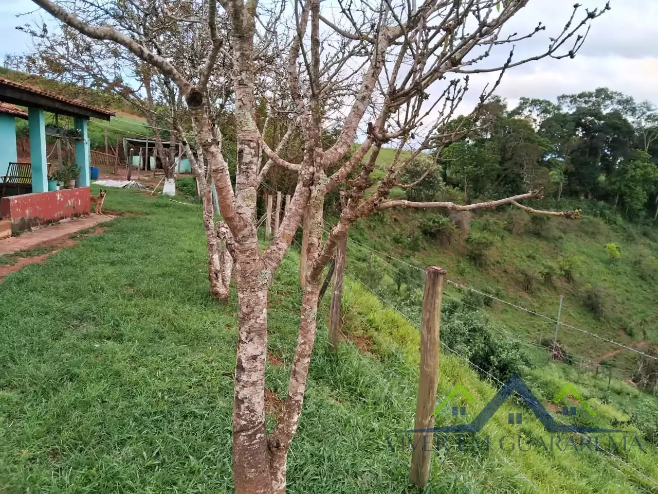 SÍTIO À VENDA NA DIVISA DE GUARAREMA E SANTA BRANCA — Miniatura 5