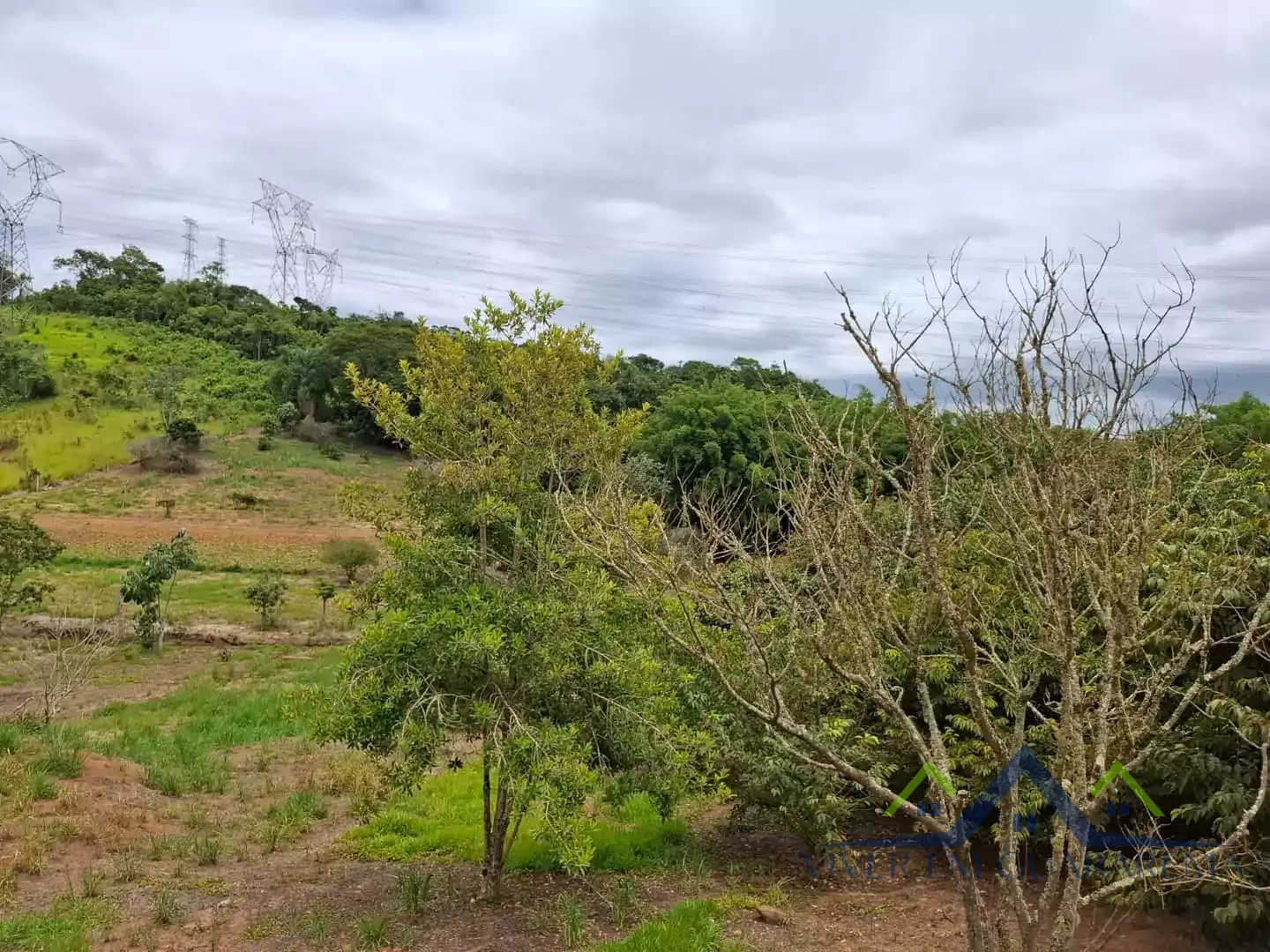 SÍTIO À VENDA NO CAPOEIRINHA — Miniatura 3