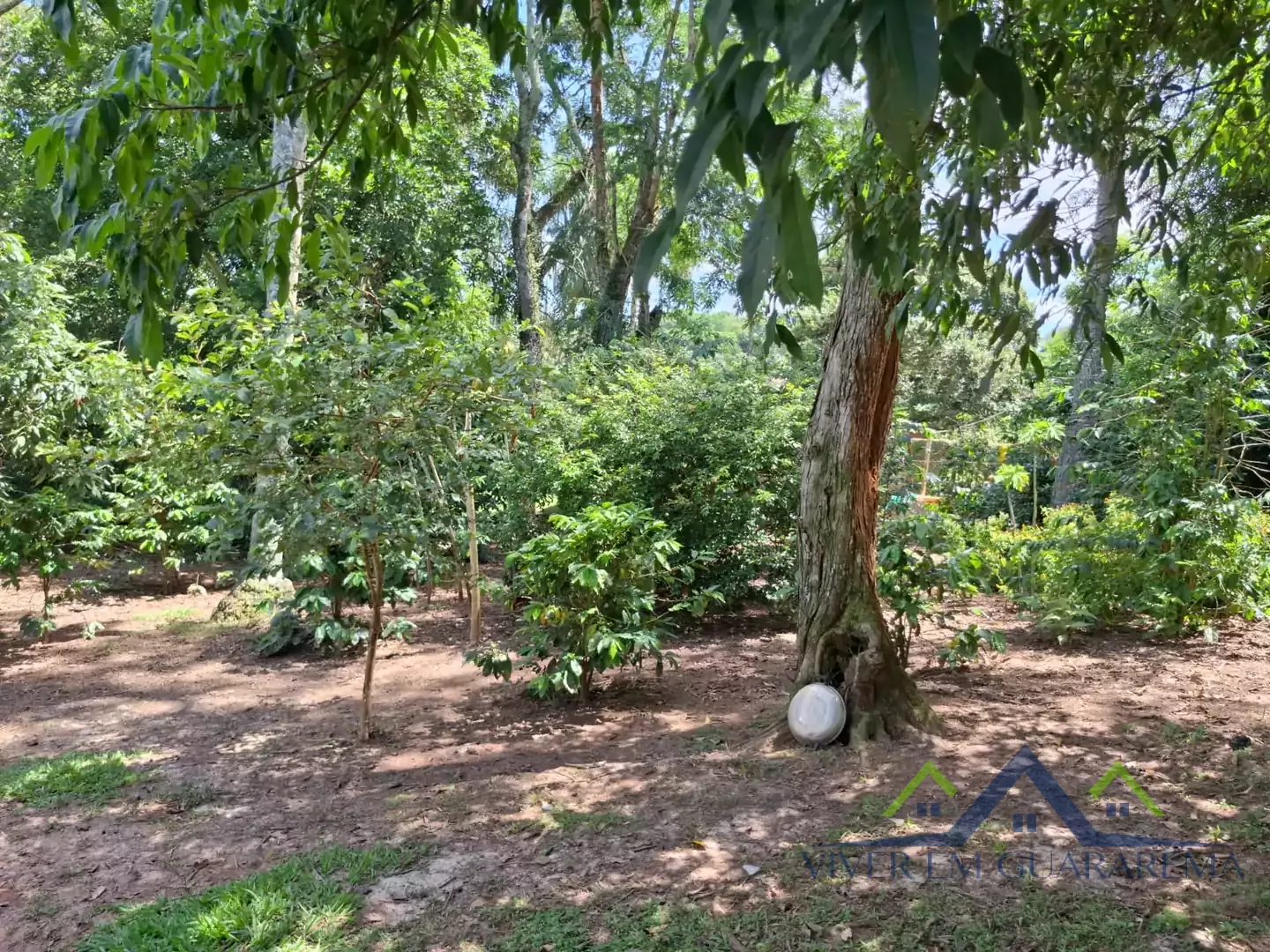 CHÁCARA À VENDA NO BAIRRO ITAPETI — Miniatura 33