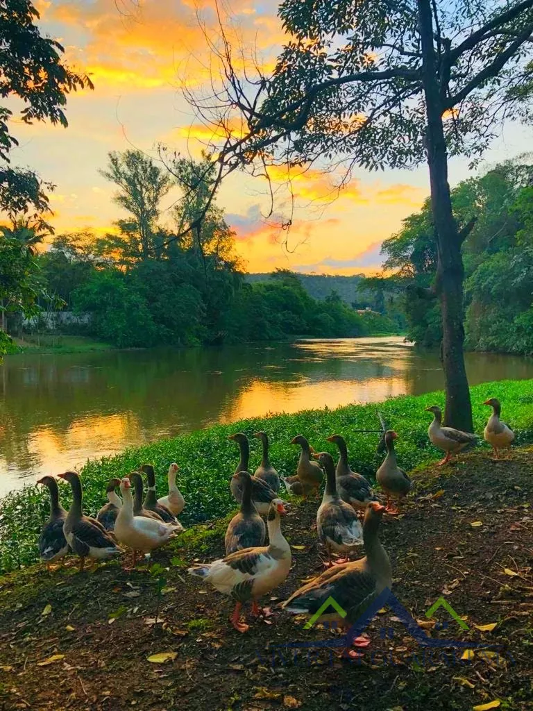 CHÁCARA ÀS MARGENS DO RIO E LAGO PARTICULAR — Miniatura 32