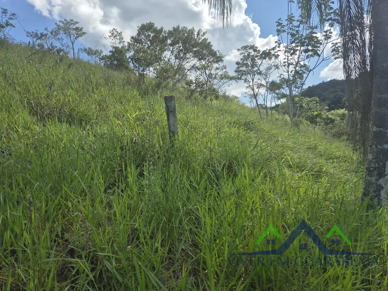 TERRENO À VENDA NO BAIRRO MORRO BRANCO — Miniatura 4