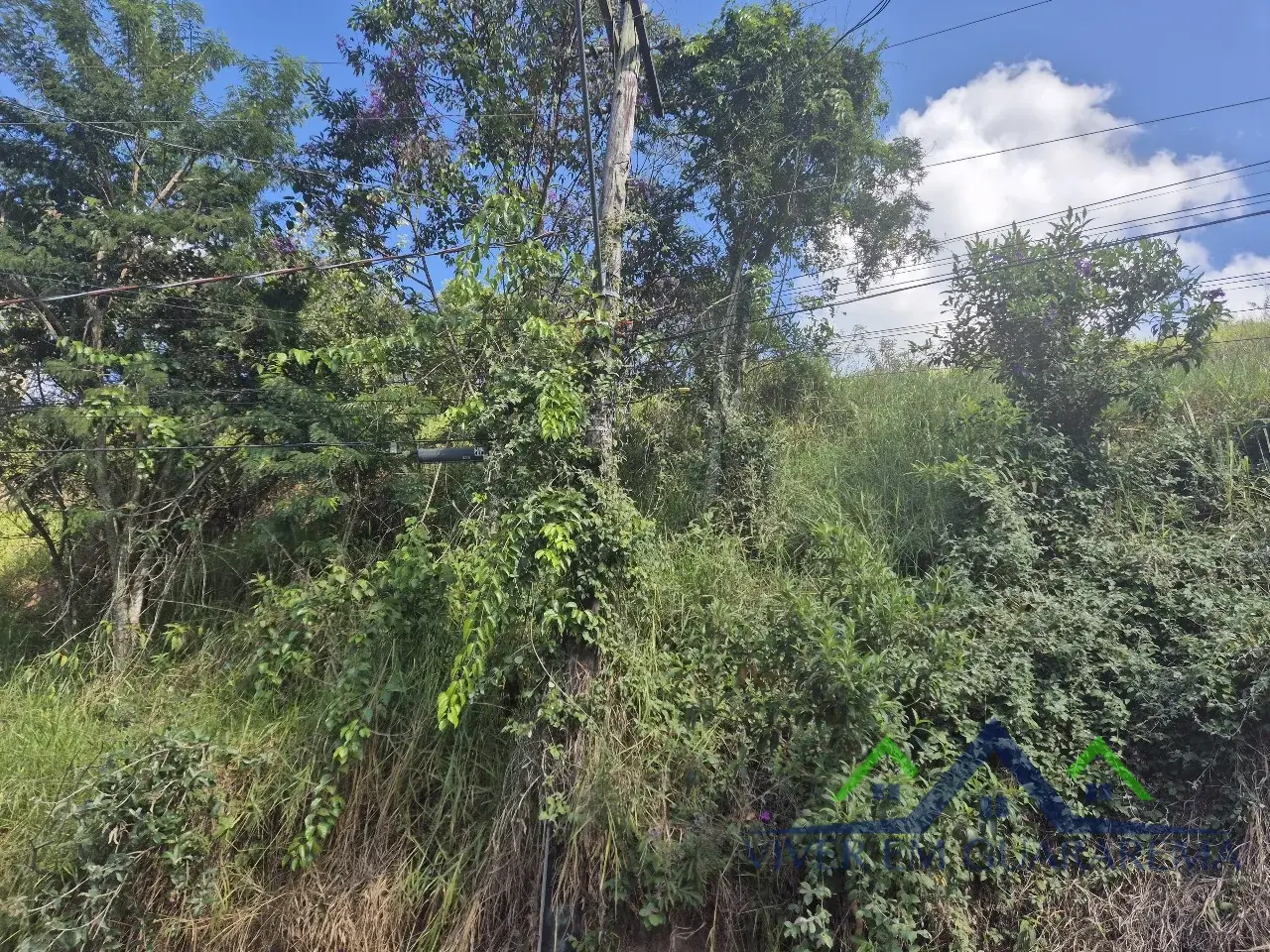 TERRENO À VENDA NO BAIRRO MORRO BRANCO — Miniatura 3