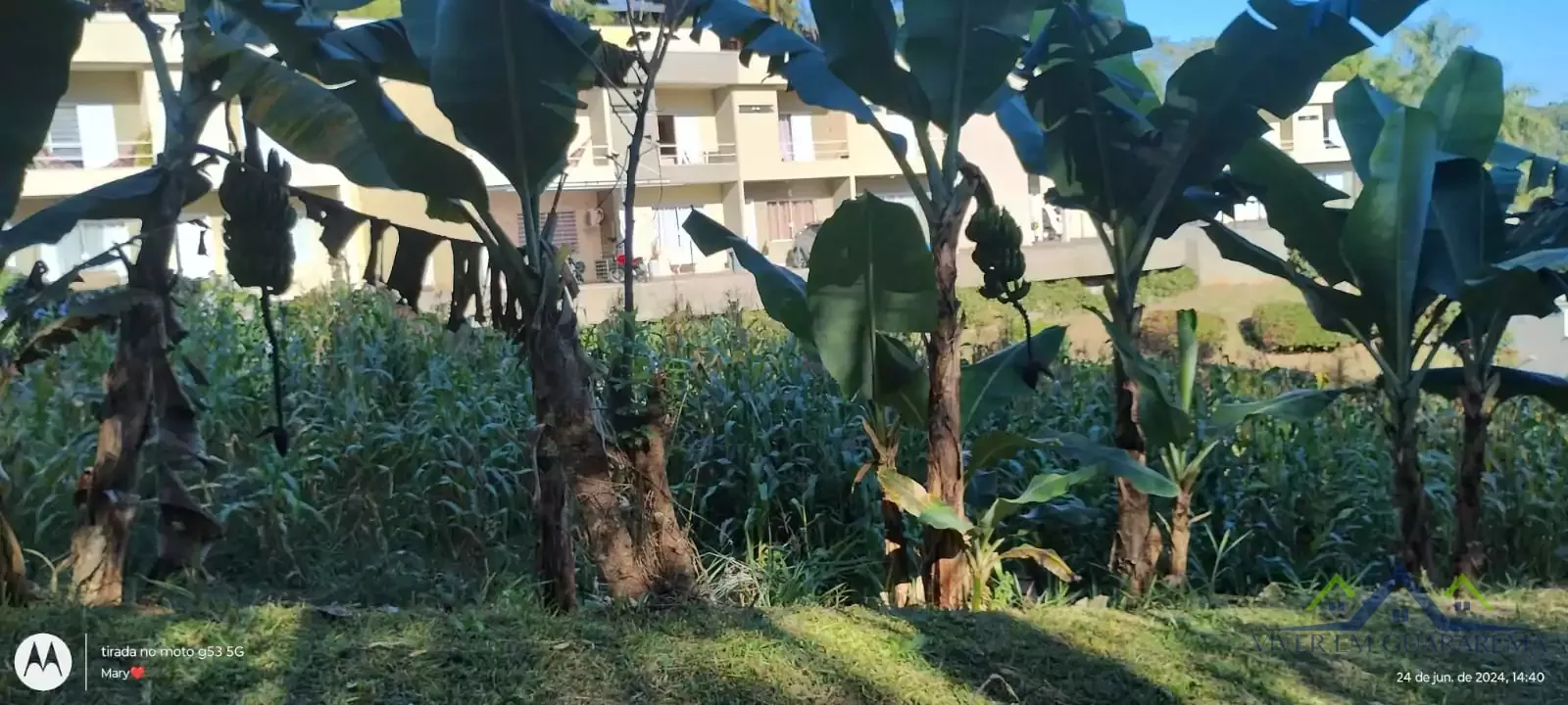 CASA COM CABANA DE MADEIRA NO ITAÓCA — Miniatura 5