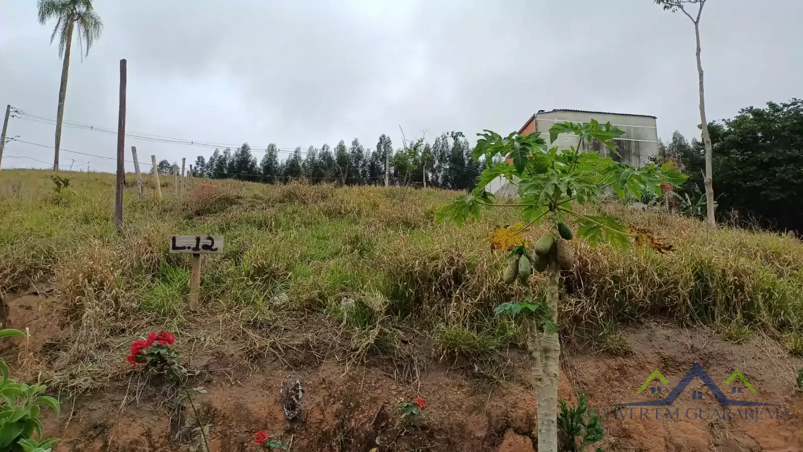 ÓTIMO TERRENO NO BAIRRO JARDIM LUIZA