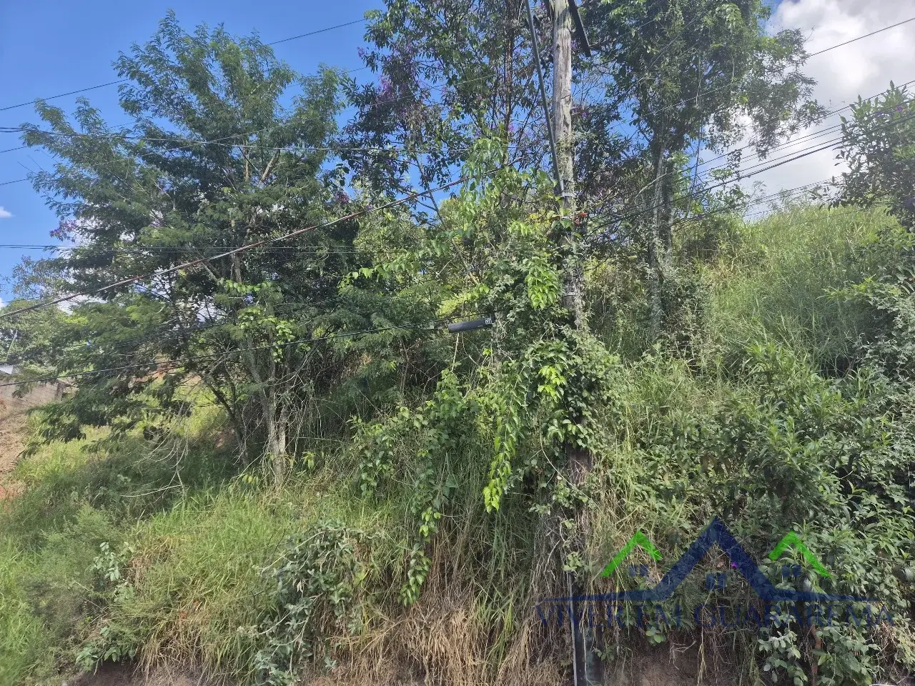 TERRENO À VENDA NO BAIRRO MORRO BRANCO — Miniatura 10