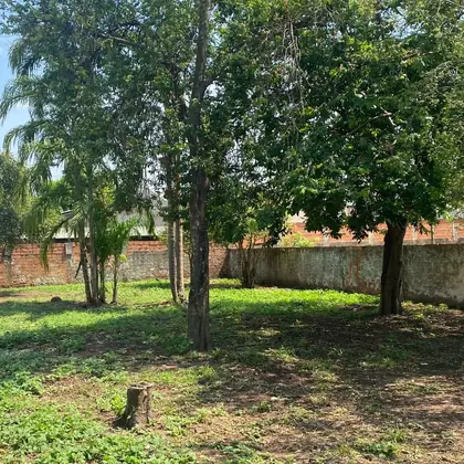 Alugar Casa