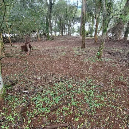 Comprar - Terreno