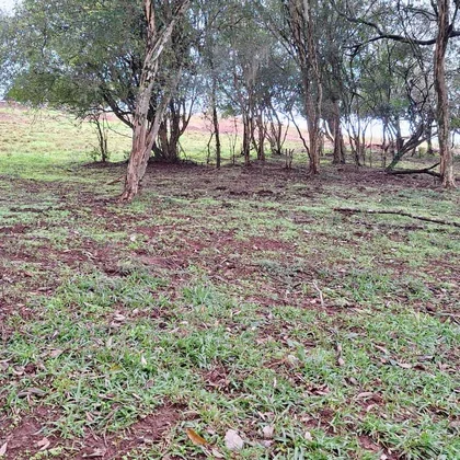 Comprar - Terreno