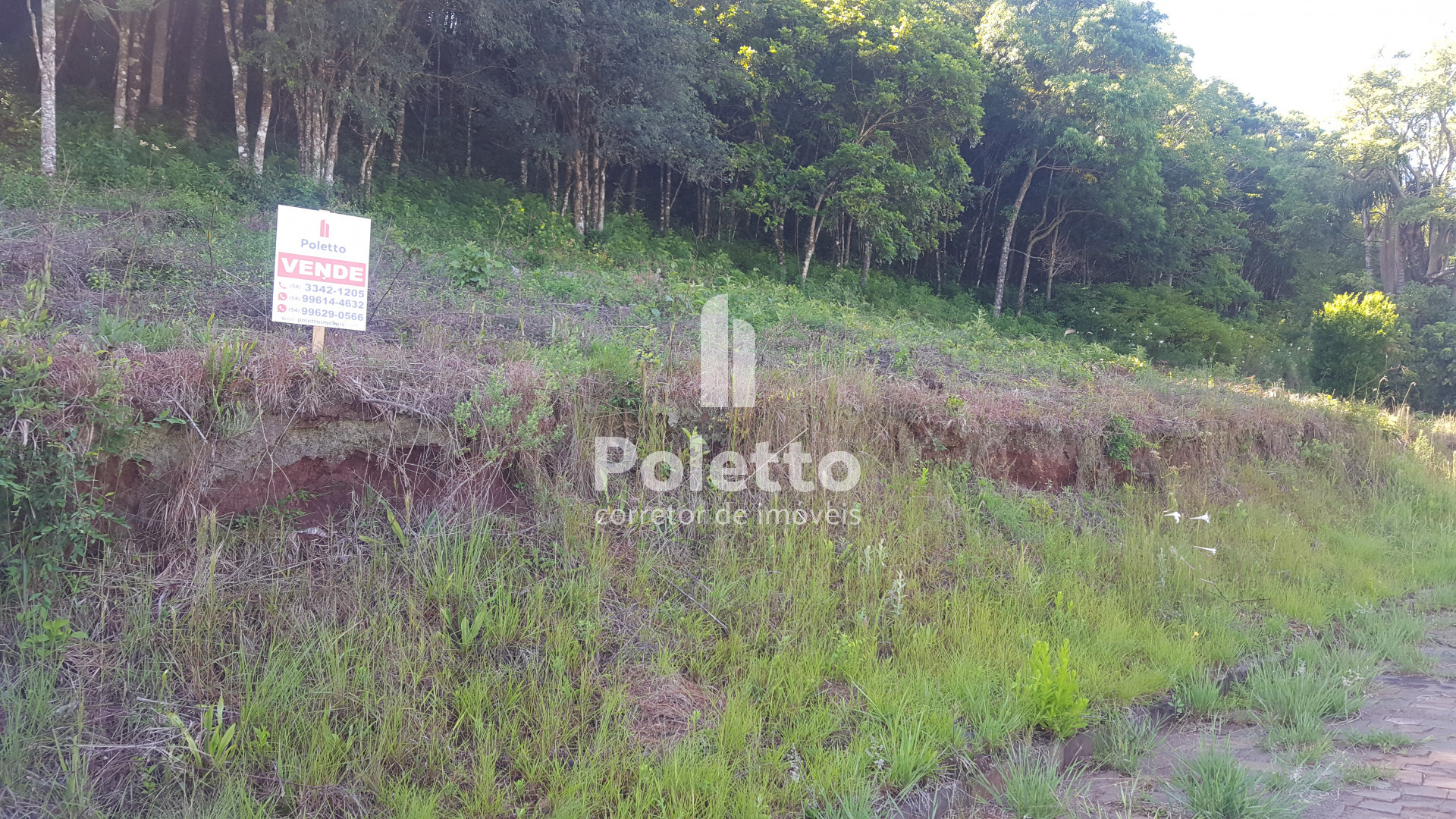 Excelente terreno próximo ao centro de Marau