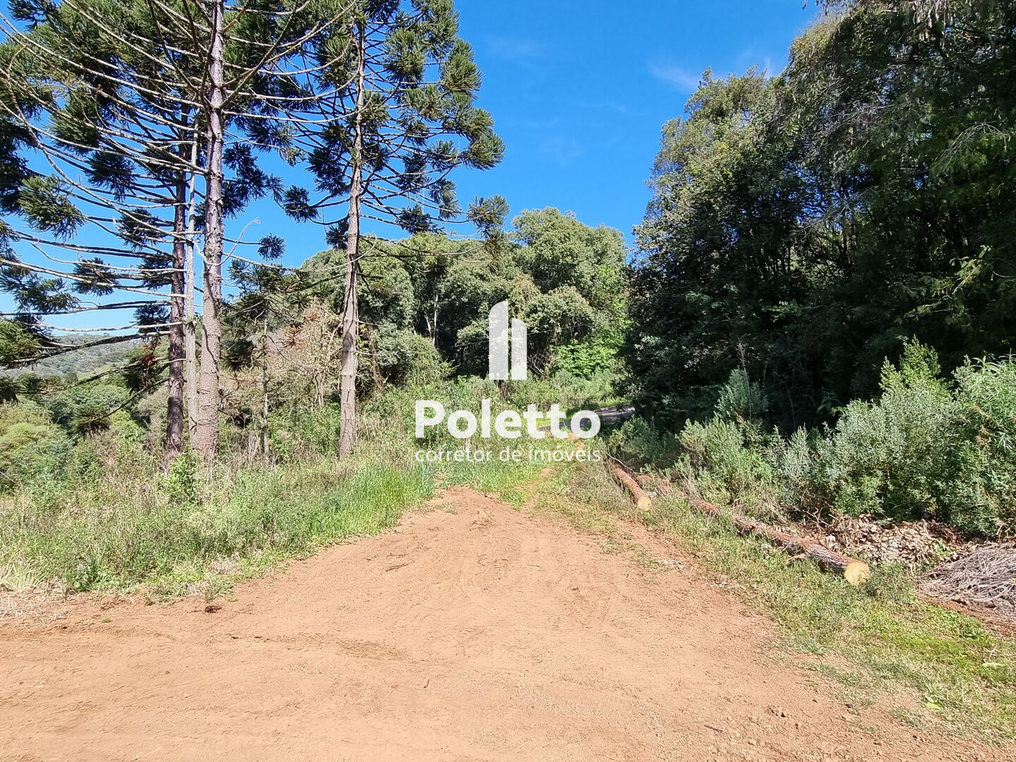 Vende-se excelentes terrenos próximos ao centro de Marau — Miniatura 2