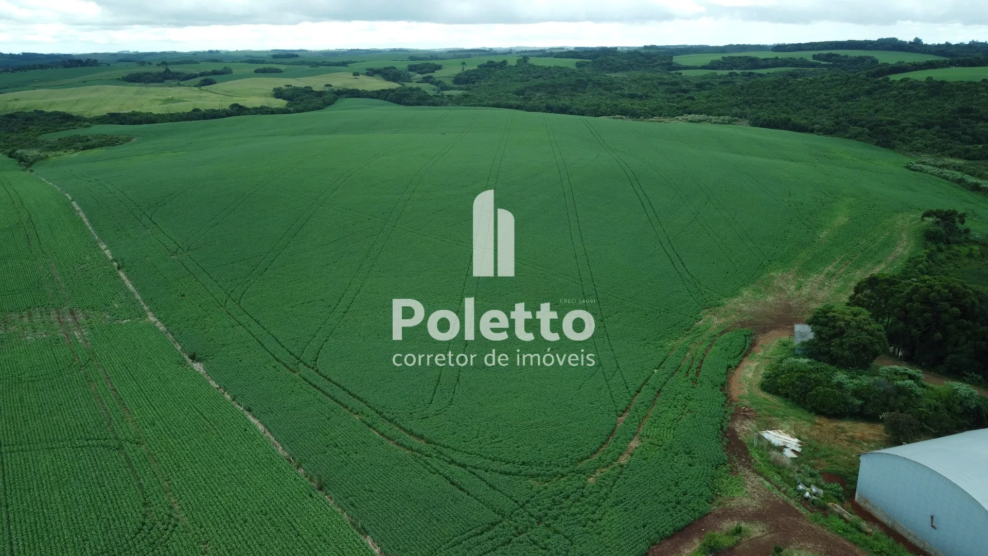 Área rural com mais de 80% de plantio — Miniatura 7