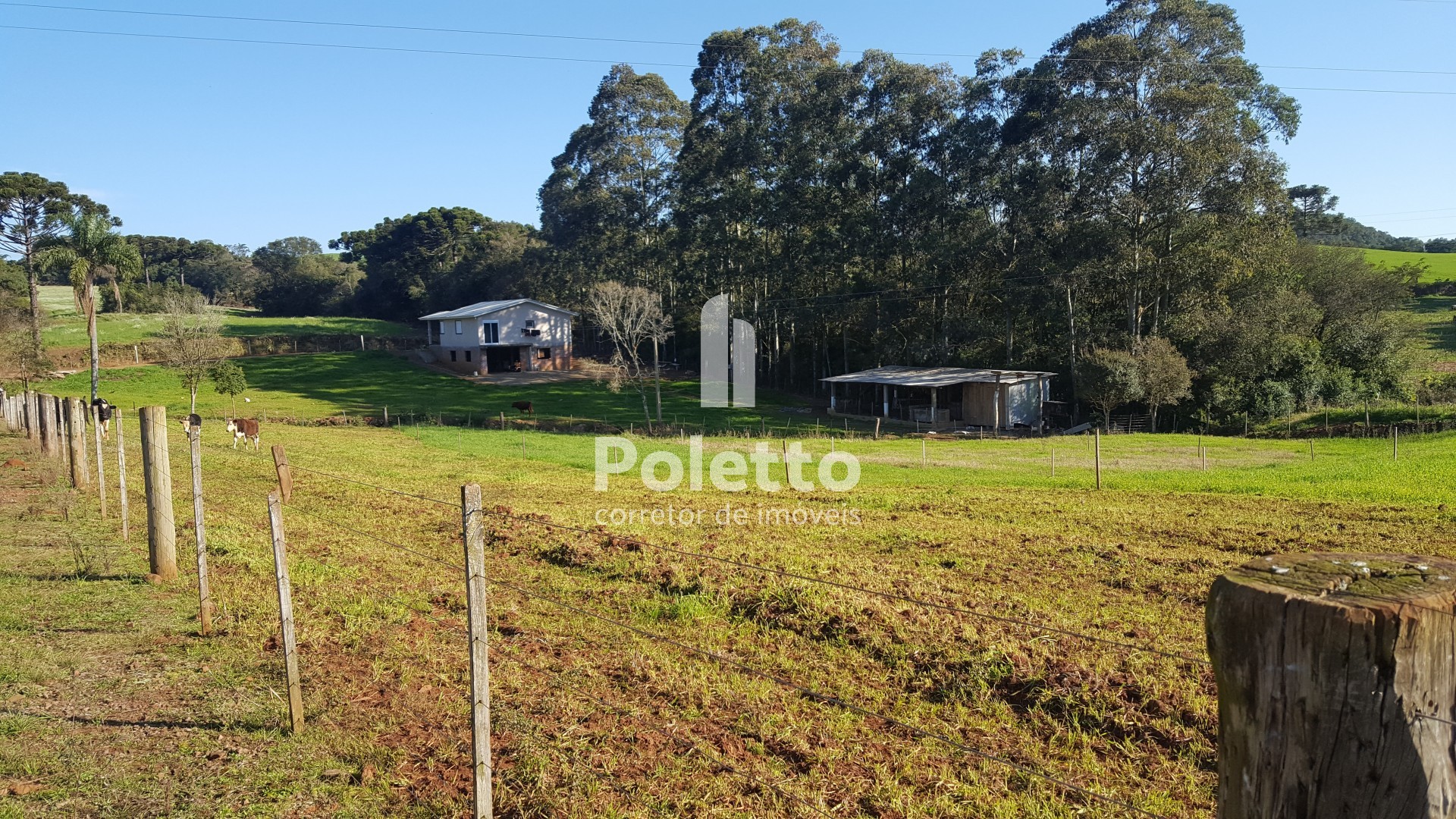 Área para sítio na linha 25 — Miniatura 4