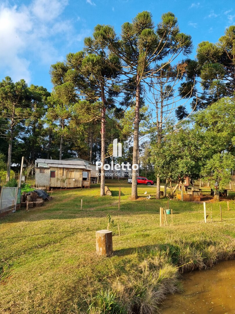 Vende-se Excelente Sítio no Burro Preto — Miniatura 3