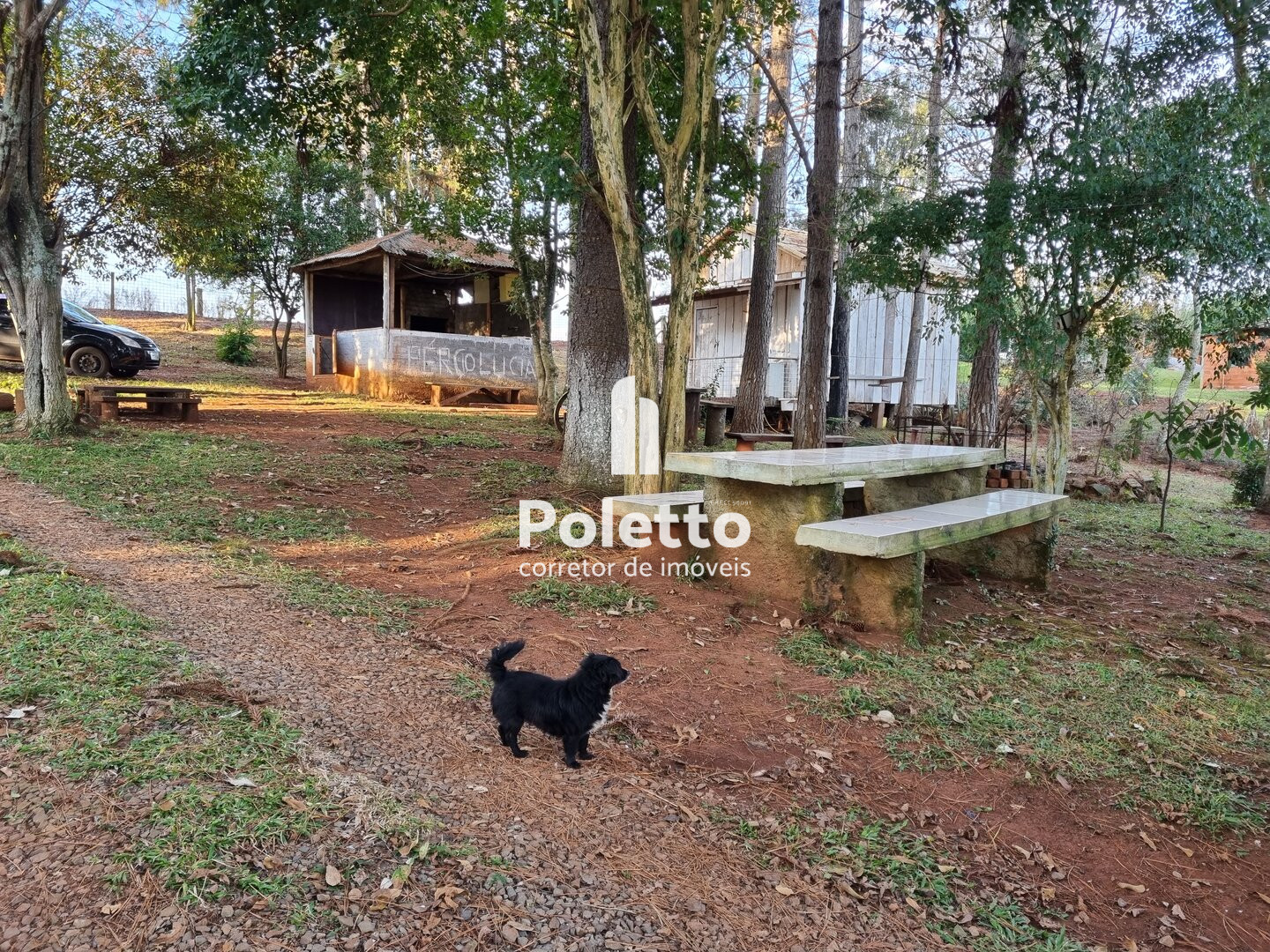 Vende-se Excelente Sítio no Burro Preto — Miniatura 10