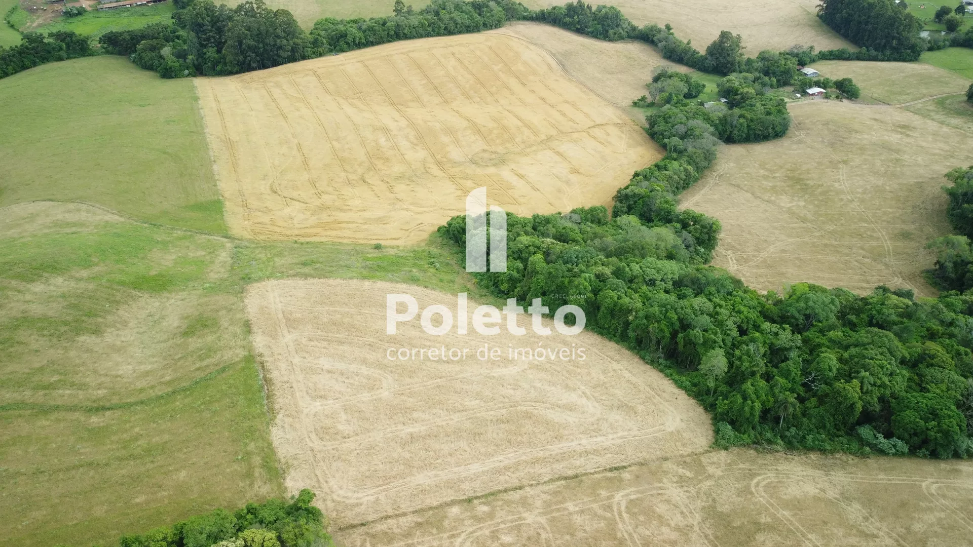 Vende-se linda área de plantio no interior de Marau — Miniatura 2