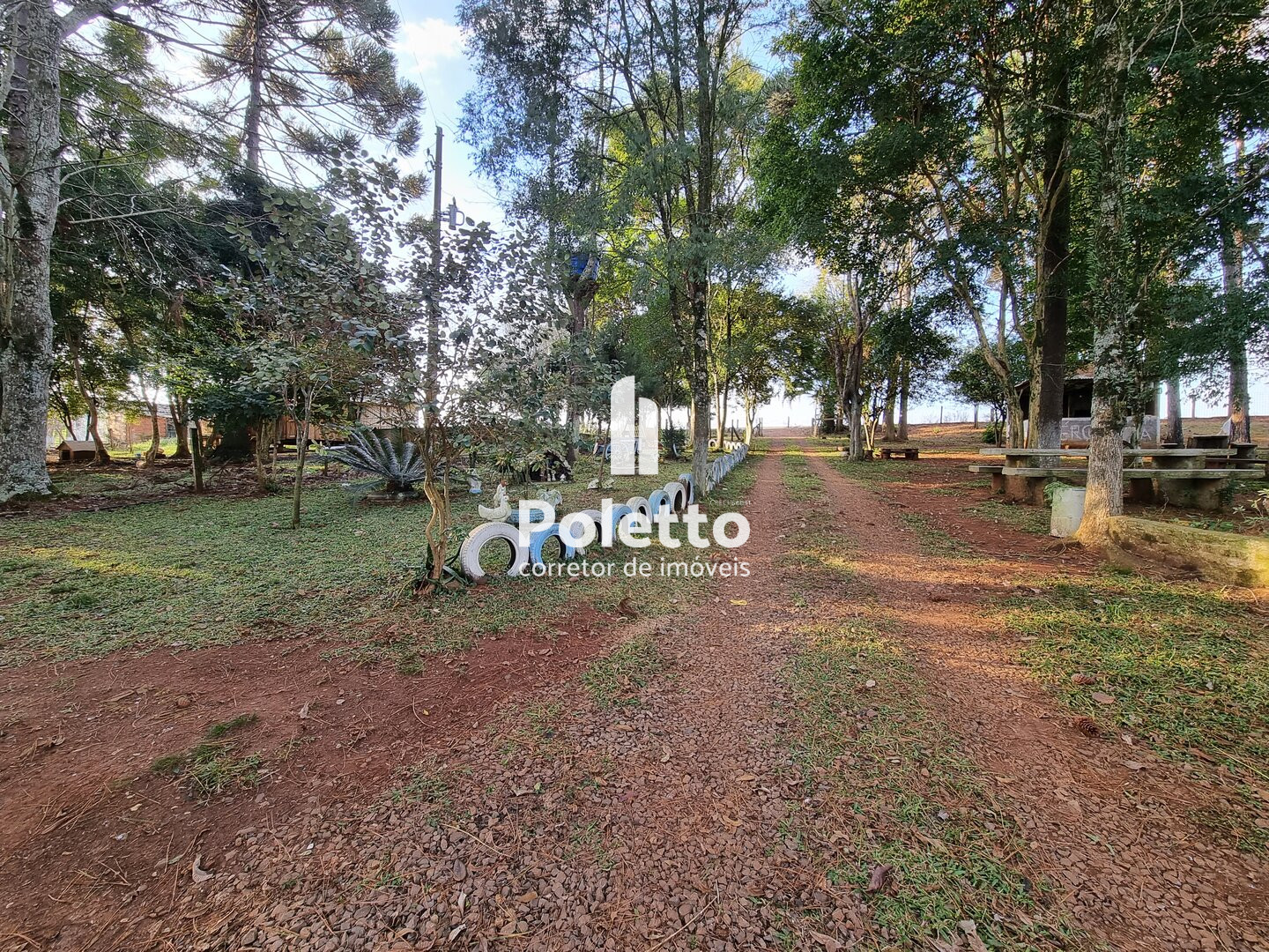 Vende-se Excelente Sítio no Burro Preto — Miniatura 7