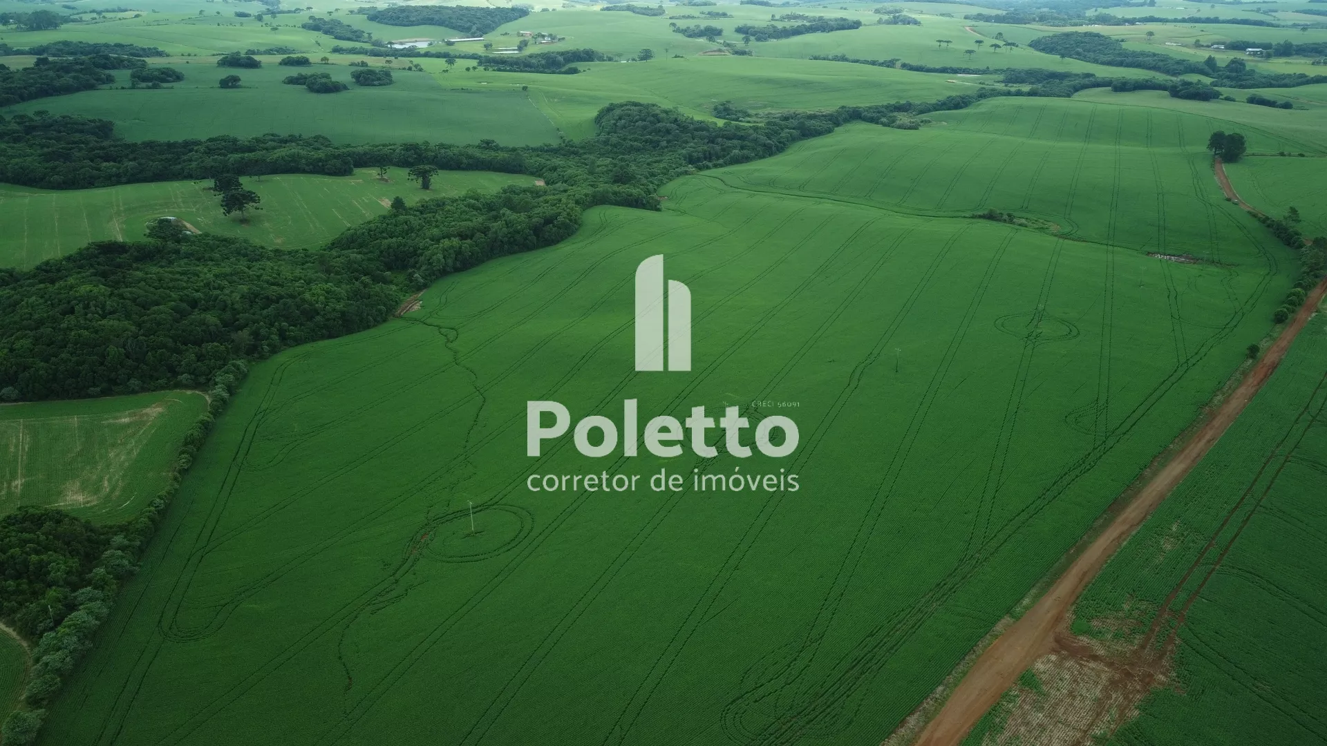 Área rural com mais de 80% de plantio — Miniatura 3