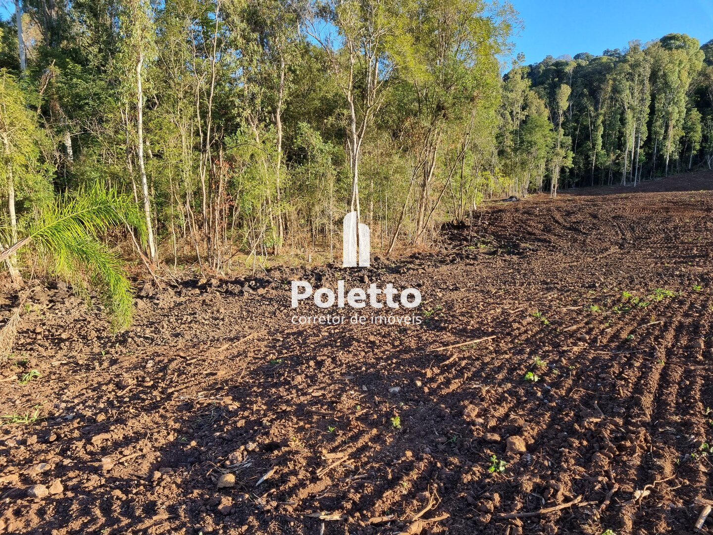 Vende-se LINDOS lotes para sítios a 2 km da cidade de Marau — Miniatura 5