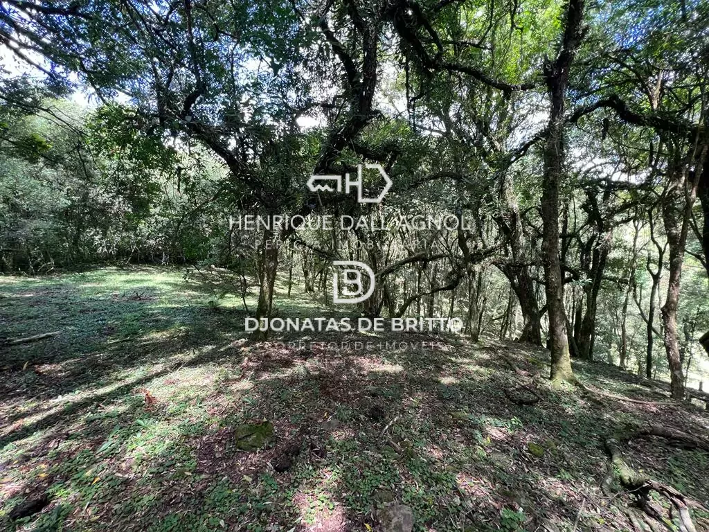 Comprar - Sítio